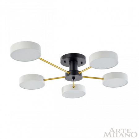 Arte Milano 252006/5 Bk/Wh
