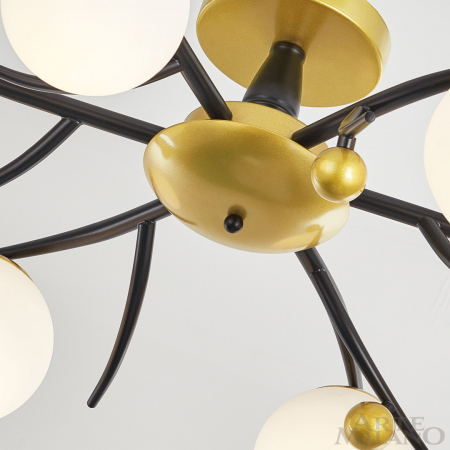 Arte Milano 273408/6 BK/GD