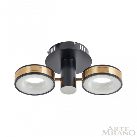 Arte Milano 271040/2R BK/GD