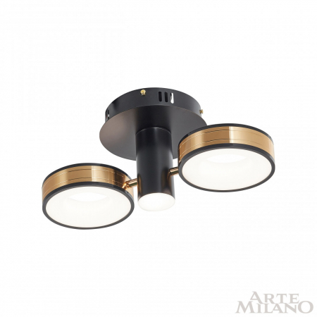 Arte Milano 271040/2R BK/GD