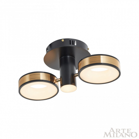 Arte Milano 271040/2R BK/GD