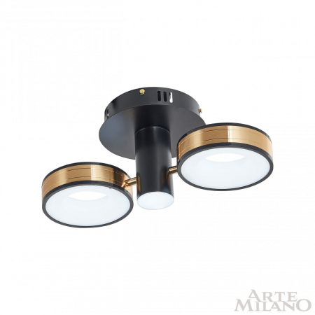 Arte Milano 271040/2R BK/GD