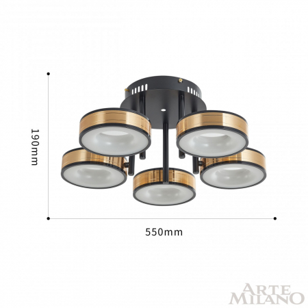 Arte Milano 271040/5R BK/GD