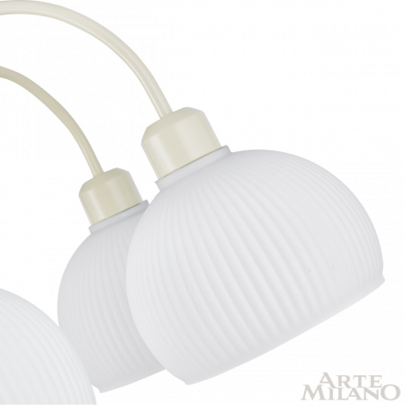 Arte Milano 313066/D700/6 IV