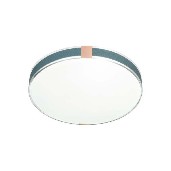 Настенно-потолочный светильник Sonex Otiga blue 7677/DL