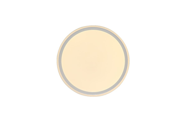 Потолочный светильник Zortes Bella ZRS.1200.07