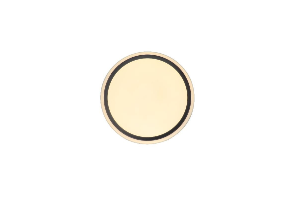 Потолочный светильник Zortes Bella ZRS.1201.04