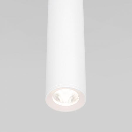 Elektrostandard 4690389198663