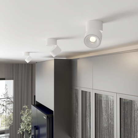 Elektrostandard 4690389196690