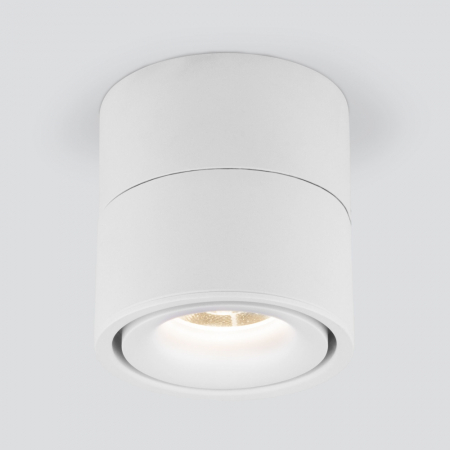 Elektrostandard 4690389196690