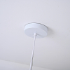 ImperiumLoft 219846-23