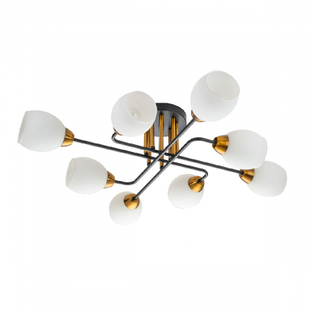 Escada 1132/8P Black