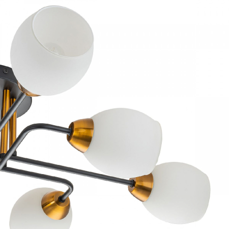 Escada 1132/8P Black