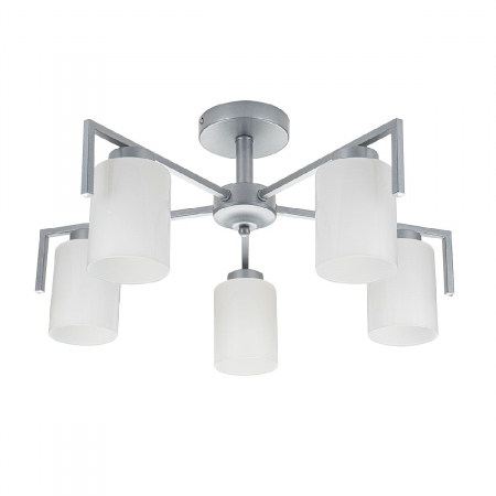 Escada 1142/5P Silver