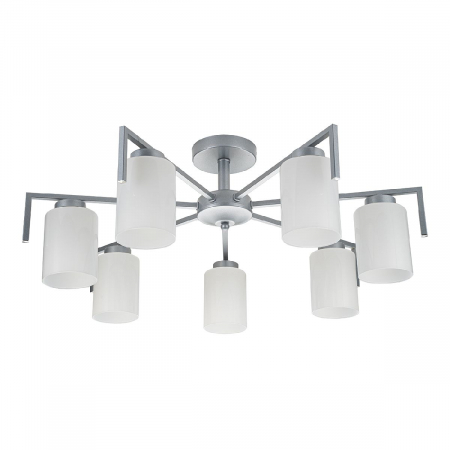 Escada 1142/7P Silver