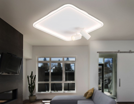 Ambrella Light FL5114