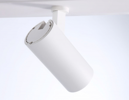 Ambrella Light FL66201