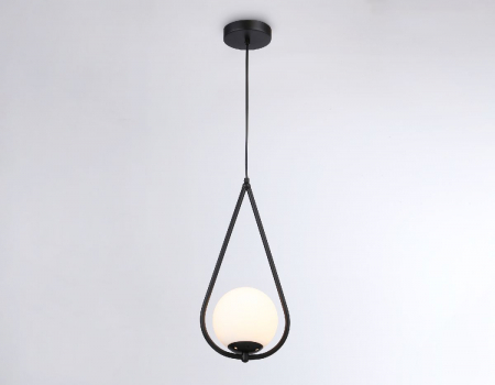 Ambrella Light TR2598