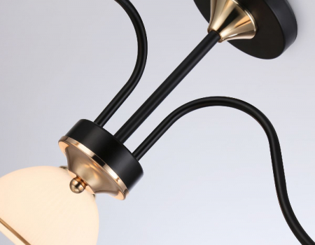 Ambrella Light TR3161