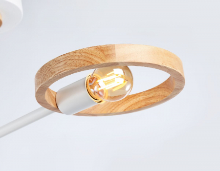 Ambrella Light TR8243