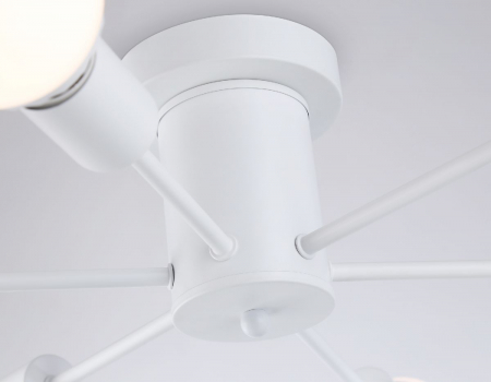 Ambrella Light TR80401