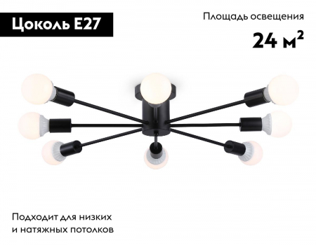 Ambrella Light TR80411