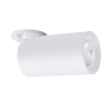 Arte Lamp A3213PL-1WH