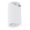 Arte Lamp A3213PL-1WH