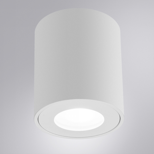 Накладной светильники Arte Lamp Tino A1469PL-1WH
