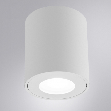 Arte Lamp A1469PL-1WH