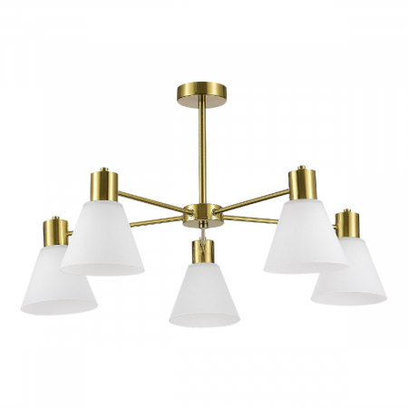 Evoluce SLE1561-302-05