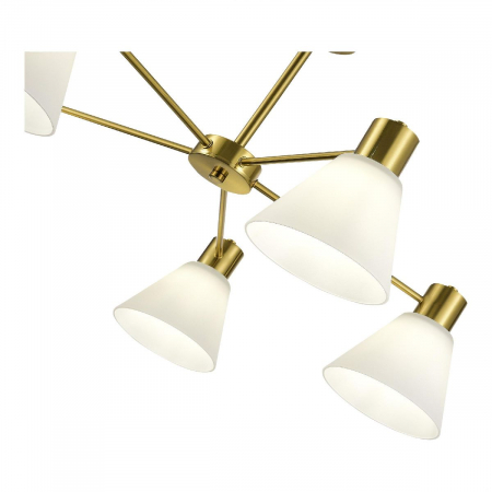 Evoluce SLE1561-302-05