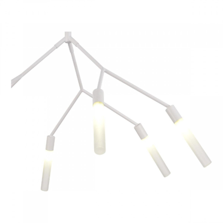 Evoluce SLE1129-503-06