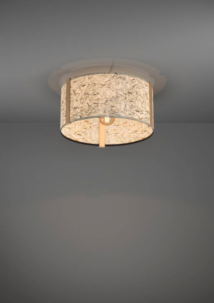 Потолочный светильник Eglo Hontongas 390322