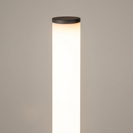 Maytoni MOD277FL-L24GR3K