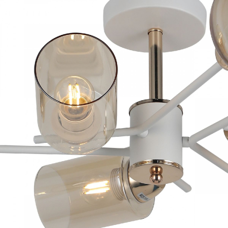 Illumico IL8243-6COU-79 WH GD