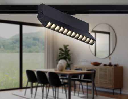 Ambrella Light GL6817