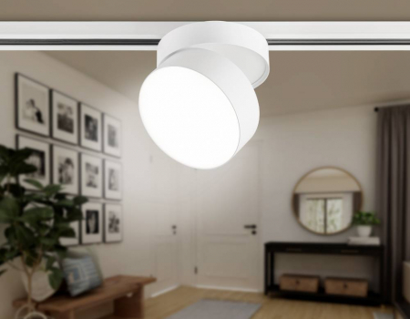 Ambrella Light GL6875