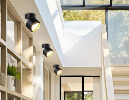 Ambrella Light TN71282