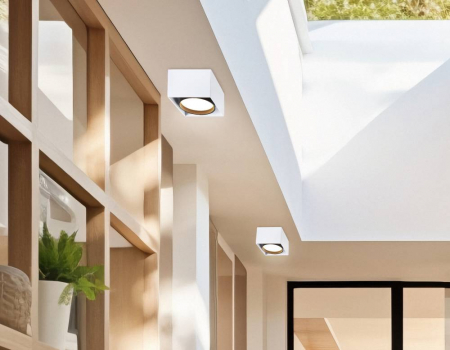 Ambrella Light TN70865