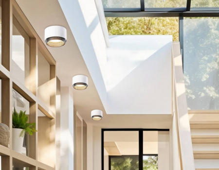 Ambrella Light TN71271