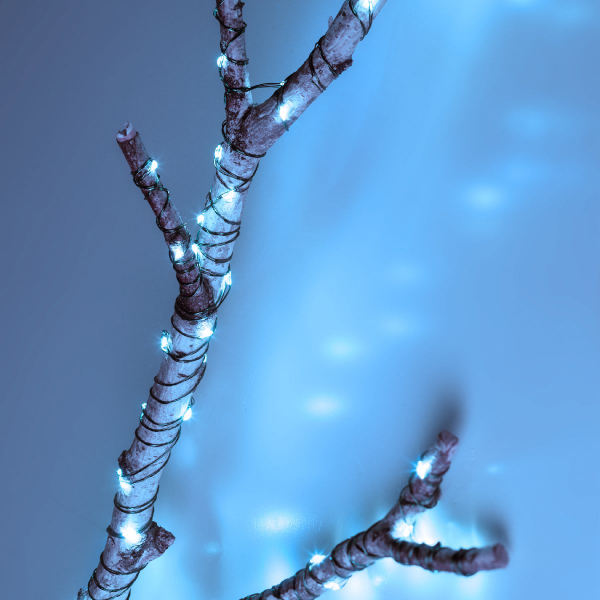 Светодиодная гирлянда Эра ENIN-2000W Б0060429