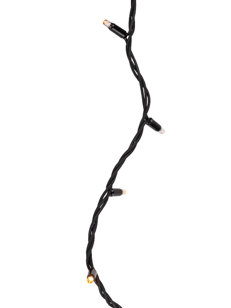 Светодиодная гирлянда Эра ERAPS-BZ2 Б0060546