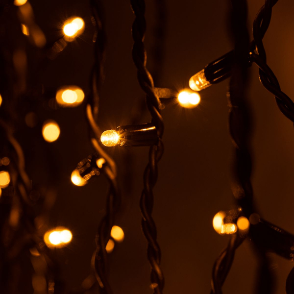 Светодиодная гирлянда Эра ERAPS-Z Б0060547