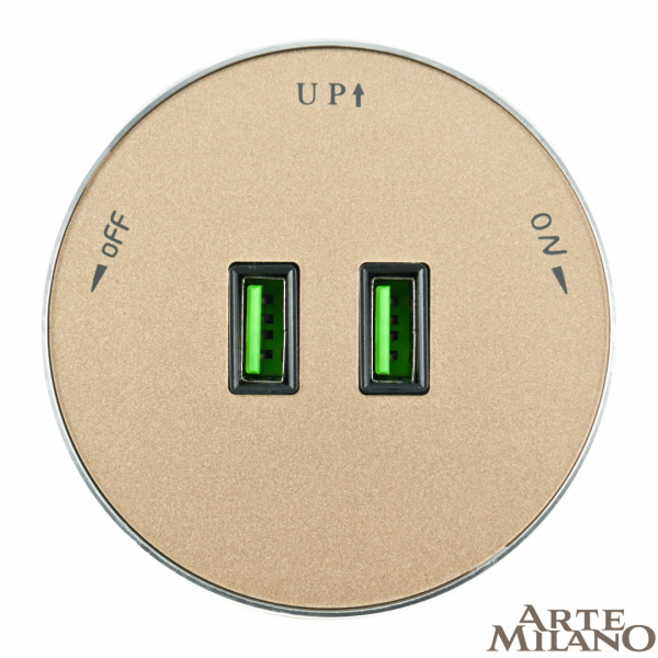 Трековая розетка Arte Milano Am-track-sockets 380011TS/USBx2 Gold