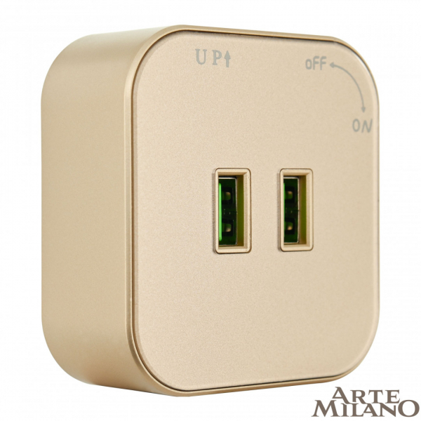 Трековая розетка Arte Milano Am-track-sockets 380022TS/USBx2 Gold