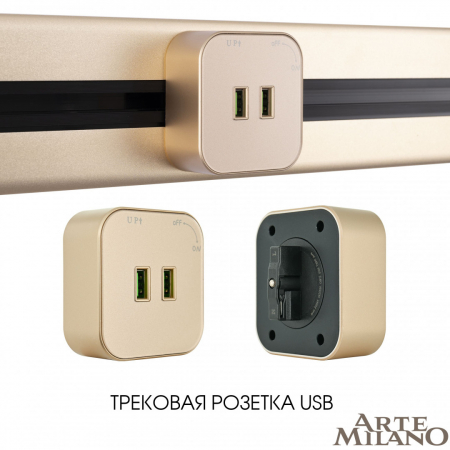 Arte Milano 380022TS/USBx2 Gold