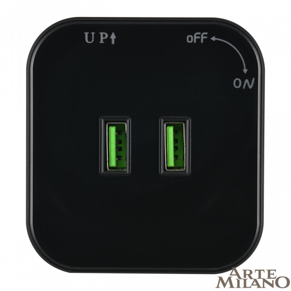 Трековая розетка Arte Milano Am-track-sockets 380022TS/USBx2 Black