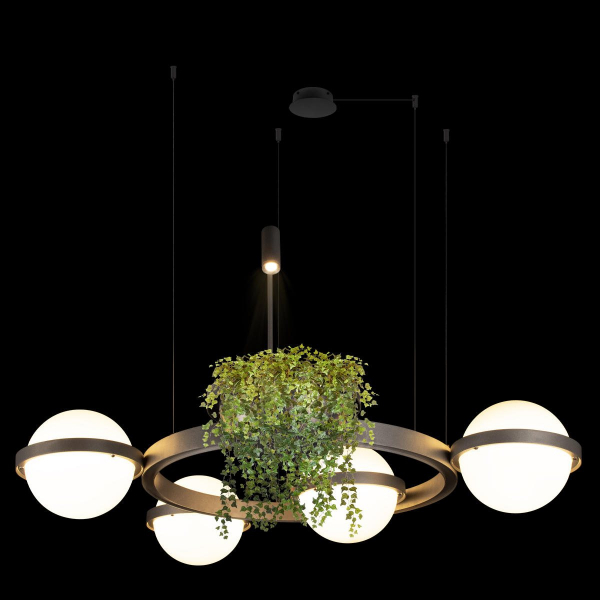 Подвесная люстра Loft IT Jardin 10121/4 Dark grey