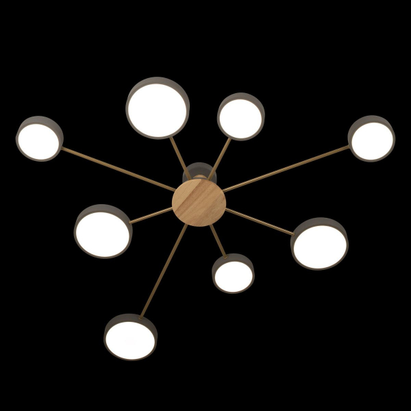 Потолочная люстра Loft IT Sunrise 10316/8 Grey